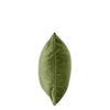 BROOKLYN ELM