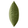 BROOKLYN ELM