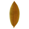 BROOKLYN MUSTARD
