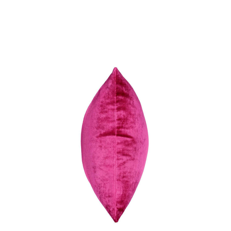 TOULOUSE FUCHSIA